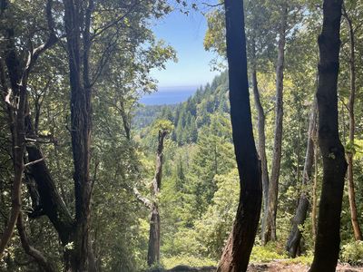 72 Elkhorn Ct, Whitethorn, CA, 95589