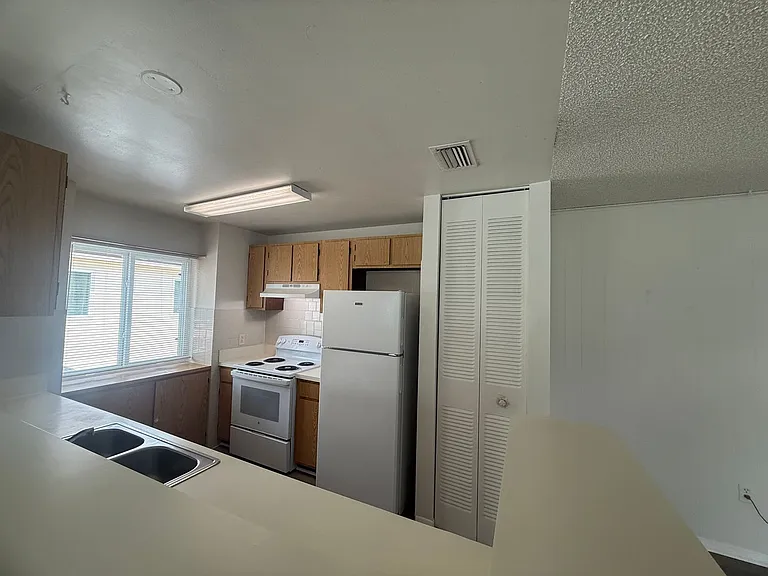 1101 Spring Meadow Dr — Photo 13