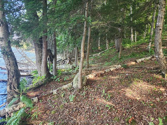 3rd image of 368 Simmons Lake Rd