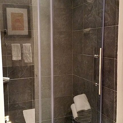 Master Bath Shower