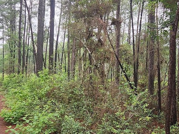 2nd image of LOT 33 Gum Tree Ln Lot 33
