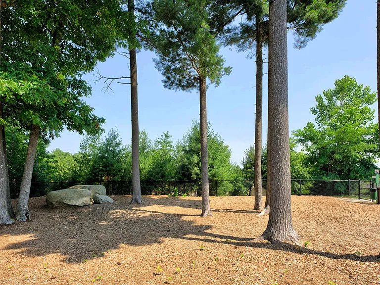 A Tail-Wagging Retreat with Plenty of Shade