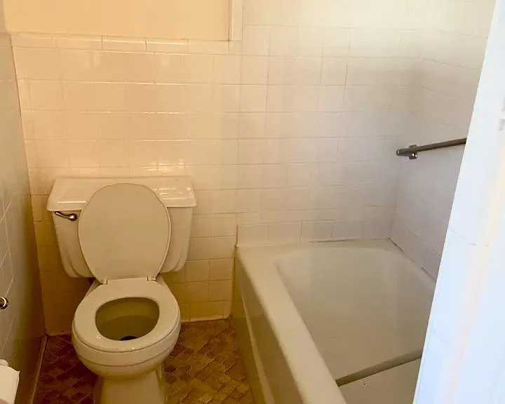 459 Whitehead Rd — Photo 3