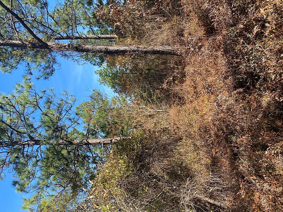 2nd image of 3005 Camp Josey Rd