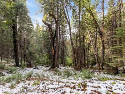 Kearsarge Mill Rd, Alta, CA, 95701