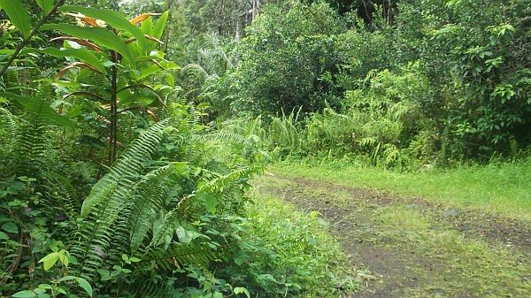 1st image of Kalapana St Lot 763
