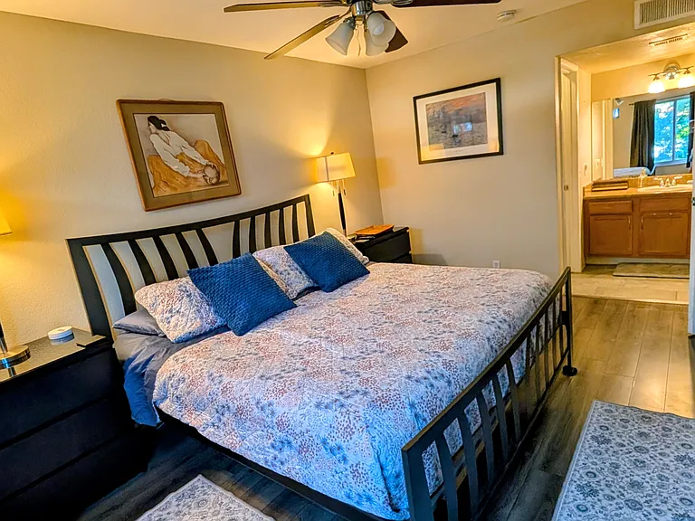 3600 N Hayden Rd #2504 — Photo 12