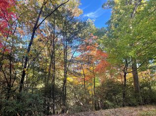 56 Wilson Ct, Lake Lure, NC 28746