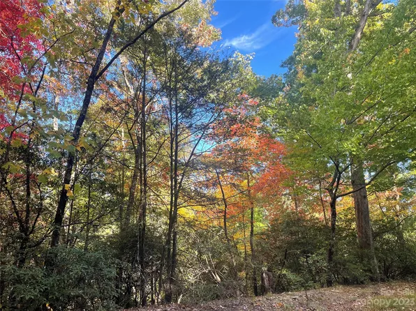 56 Wilson Ct, Lake Lure, NC 28746