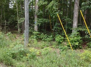 0 Pratt Rd, Lake Ann, MI 49650