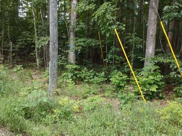 0 Pratt Rd, Lake Ann, MI 49650