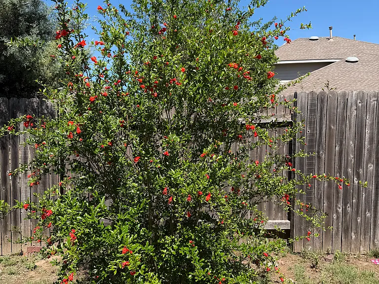 3304 Merlin Ct — Photo 41