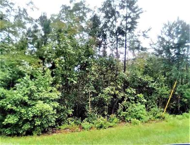 119 Wheeler Ln, Mount Ida, AR, 71957