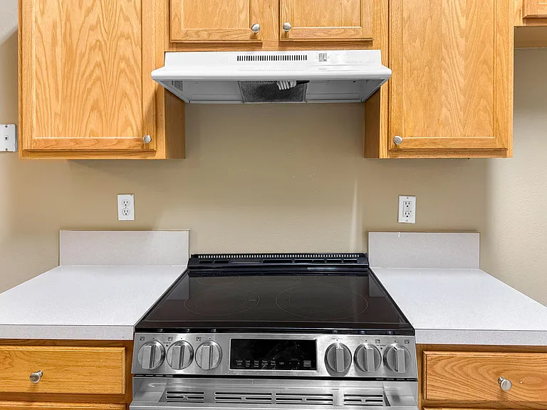 Kitchen cooking area with an electric range, vent hood, ample upper cabinetry, and adjacent counter space for meal prep.