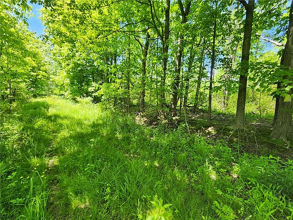 2nd image of 0 Irish Ridge Rd
