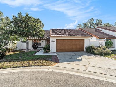 11507 Orilla Del Rio Pl, Temple Terrace, FL, 33617