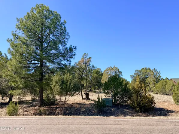 3344 Stone Bridge Trl, Heber, AZ 85928