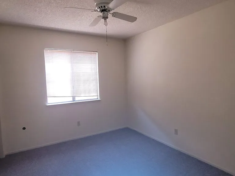 8005 Cold Creek Ct — Photo 6