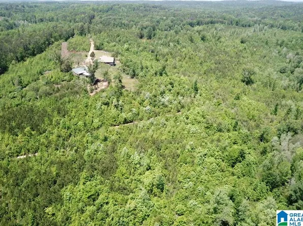 445 Blalock Ln #0, Lawley, AL 36793