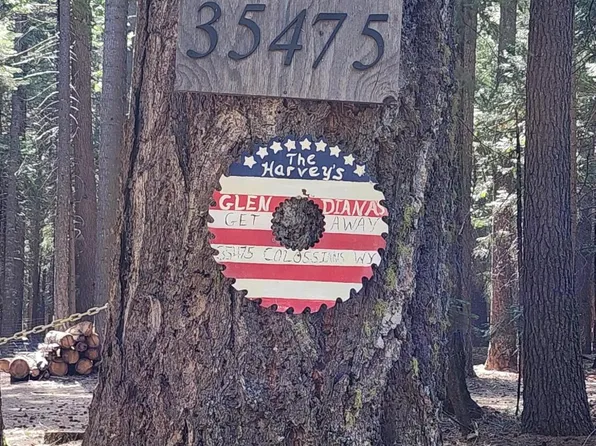 35475 Colossians Way, Shingletown, CA 96088