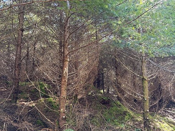 3rd image of 0 Steer Creek Rd