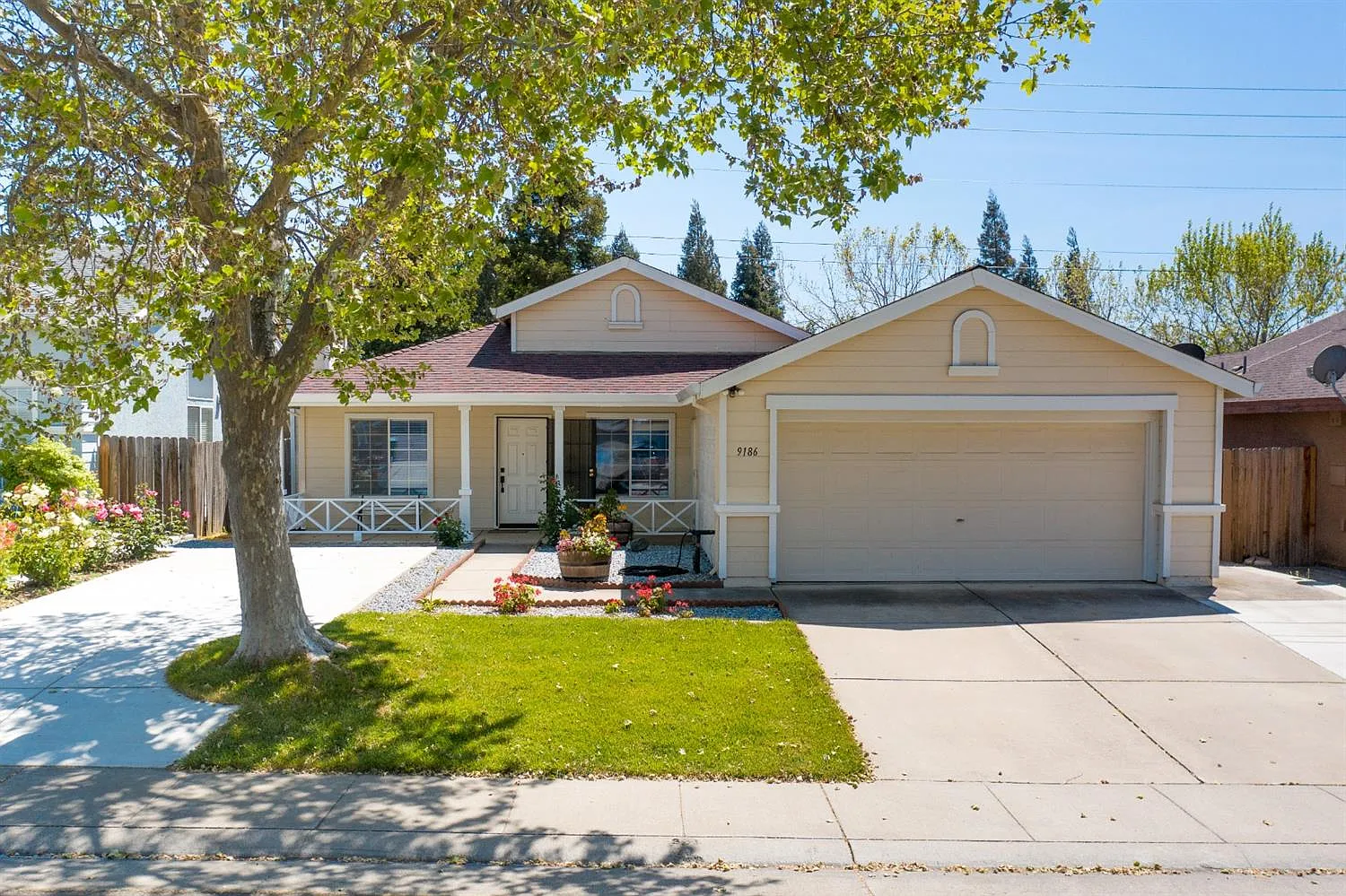 9186 Parducci Way photo 1