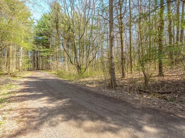 Vl N Pineayr Dr, Climax, MI 49034