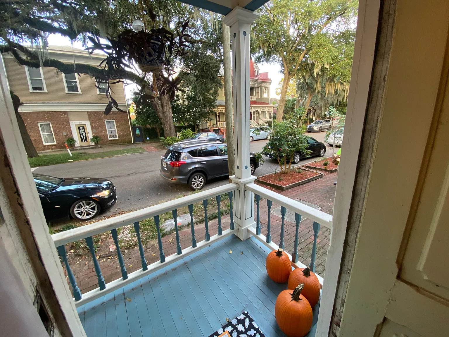 Savannah — Photo 3