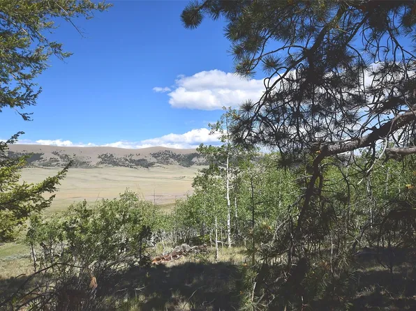 2381 Redhill Road, Fairplay, CO 80440
