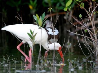 2041 Silk Bay Blvd LOT 101, Alva, FL 33920