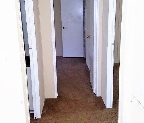 3rd image of 309 Holly Creek Ct
