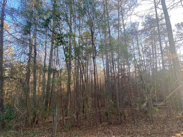1194 Wellbrook Pl, Conyers, GA 30012