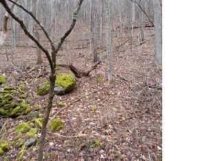 Tbd Roaring Fork Rd, Hot Springs, NC 28743