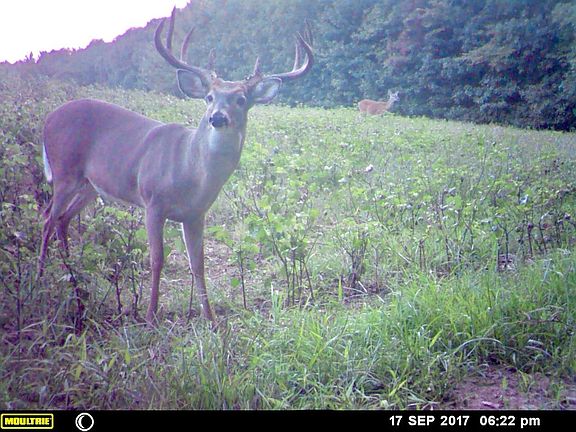2nd image of 70 Tommy Ln