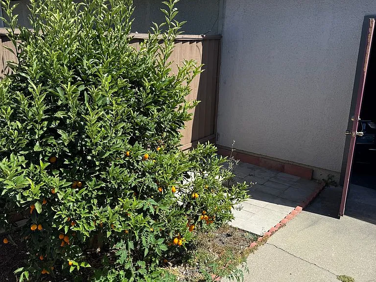4636 Granada Way — Photo 34