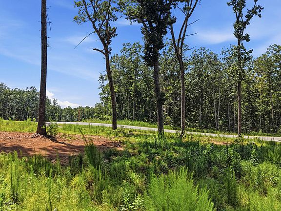 3rd image of 8581 Bear Paw Trl #97