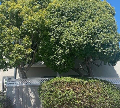 3rd image of 506 Canyon Dr Unit 27