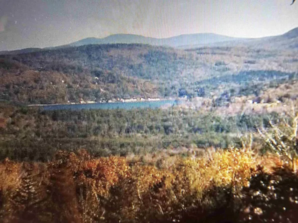 276 Perkins Hill Road, Alexandria, NH 03222