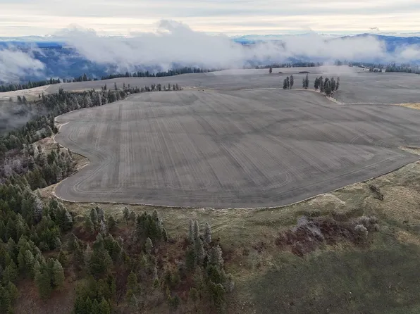 2439 Albers Rd, Nezperce, ID 83543