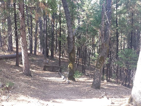 4th image of 37490 Road 222