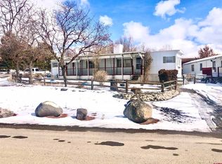 1145 SW 9th St, Cedaredge, CO 81413
