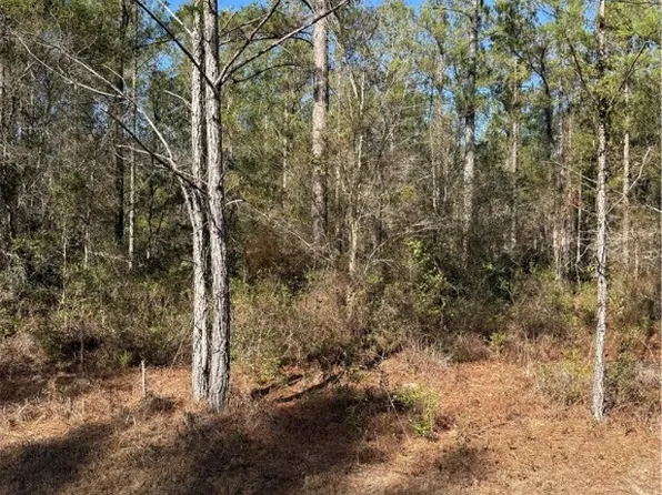 0 Heritage Cir, Hortense, GA 31543