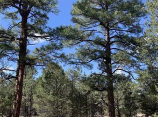 127 Largo Canyon Loop, Quemado, NM 87829