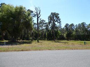 34961 Golden Tree Dr, Leesburg, FL 34788