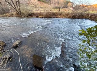 367 River Rd, Cherry Log, GA 30522