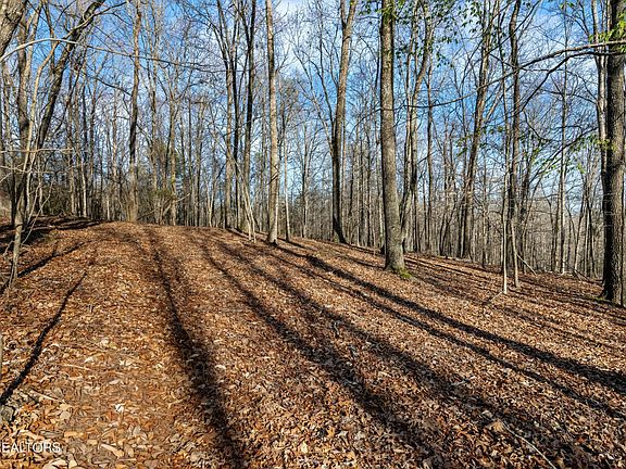 3rd image of 150 Clear Branch Rd N