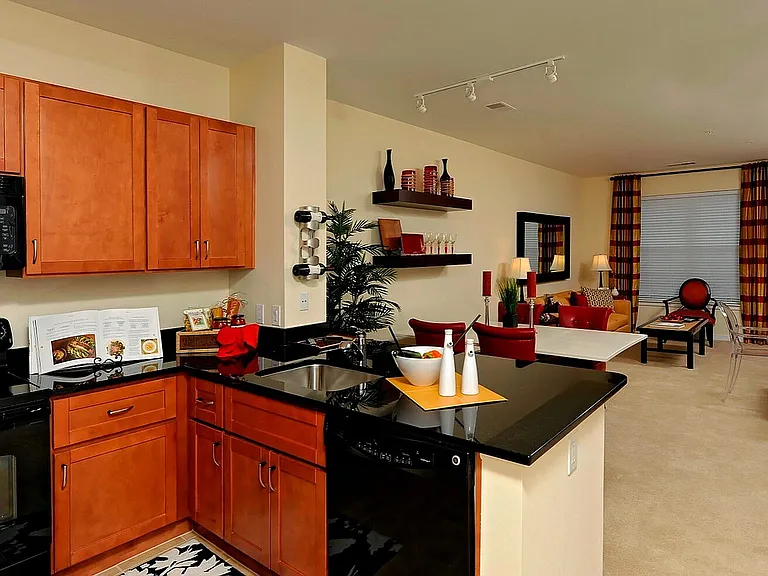 Contemporary Open-Plan Kitchen & Living Area