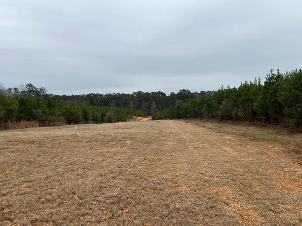 3410 Maple Ln SW, Summit, MS 39666