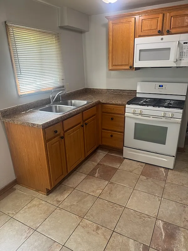 1 bed, 1000 sqft, $1,100 — Photo 3