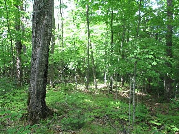 3rd image of LOT 3 Fisher Lake Rd E